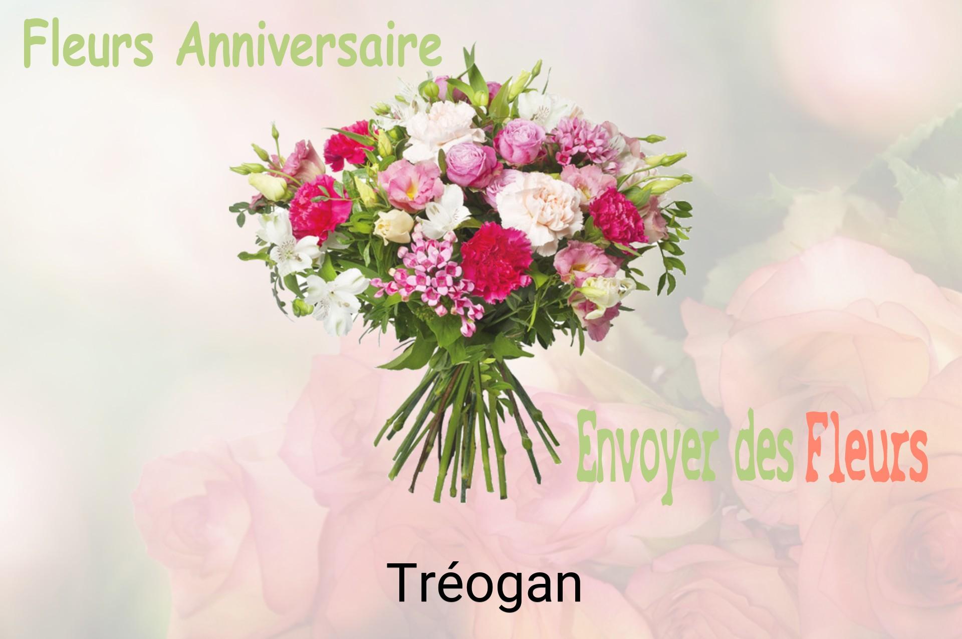 Bouquet de fleurs d’anniversaire livré à Tréogan