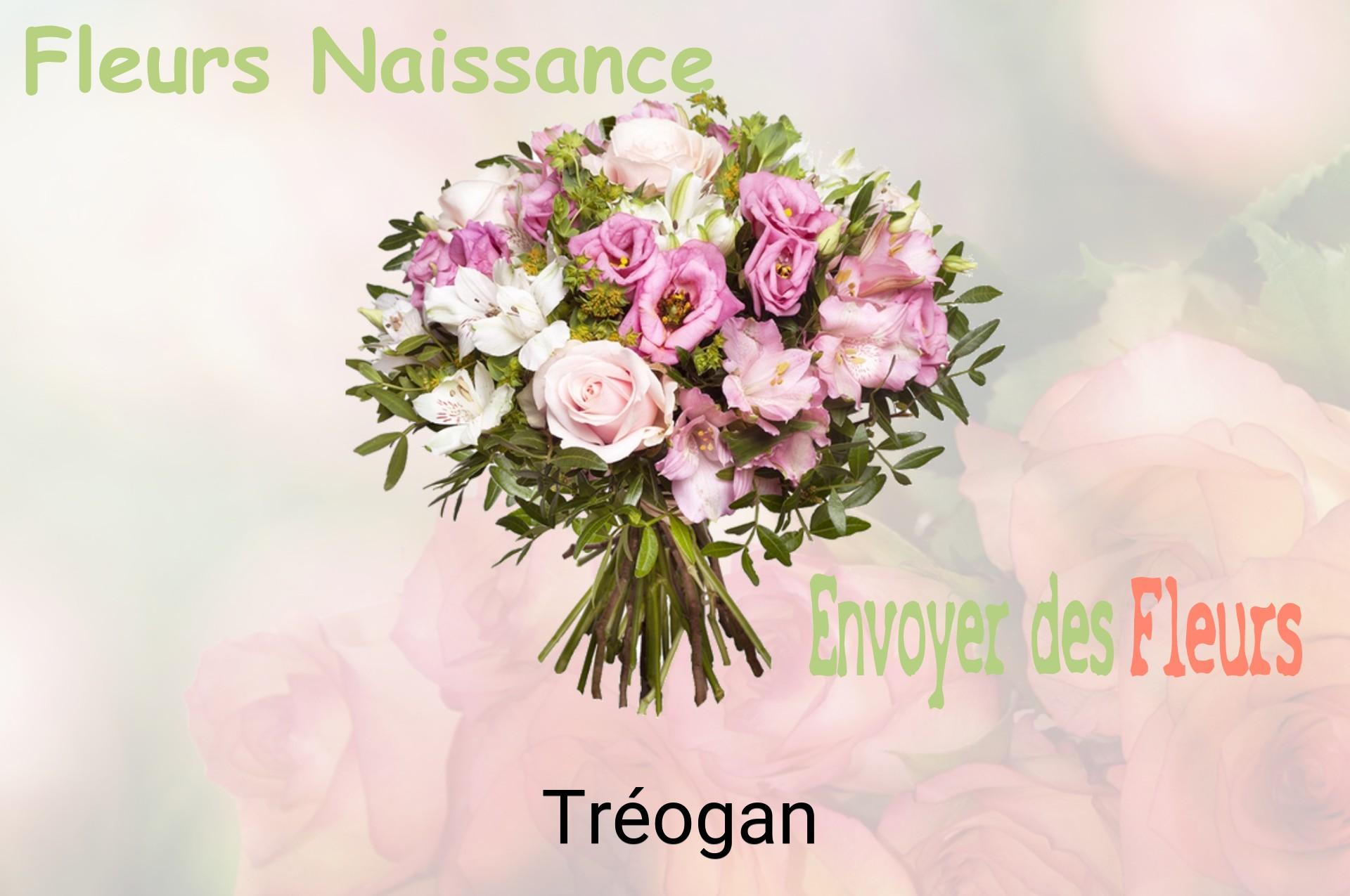 Bouquet de fleurs de naissance livré à Tréogan