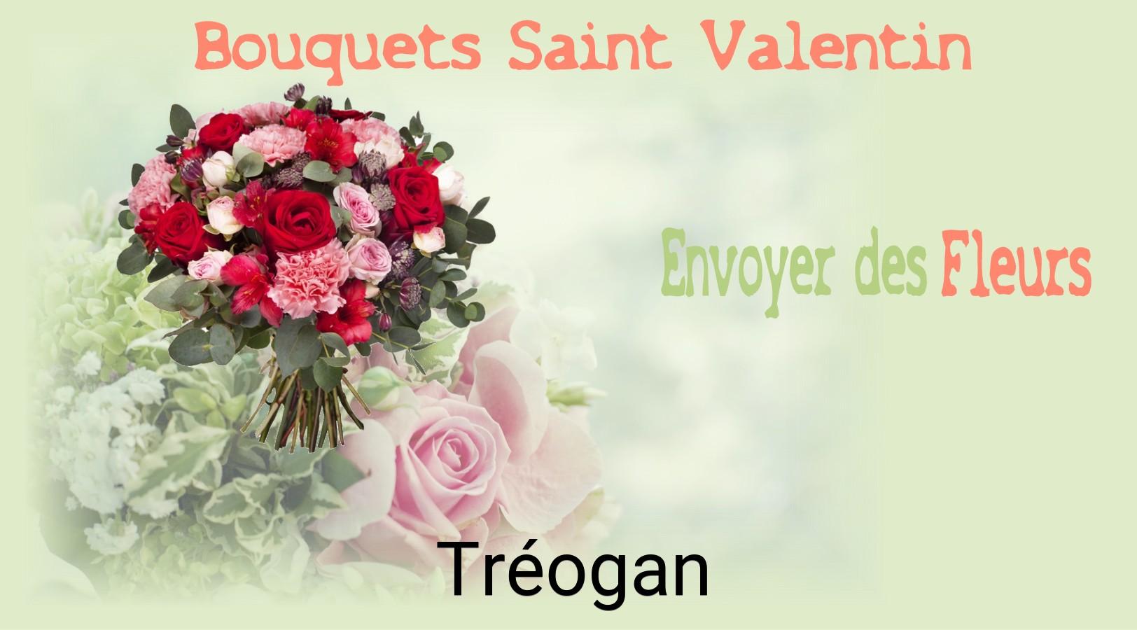 Roses de Saint-Valentin livrées à Tréogan