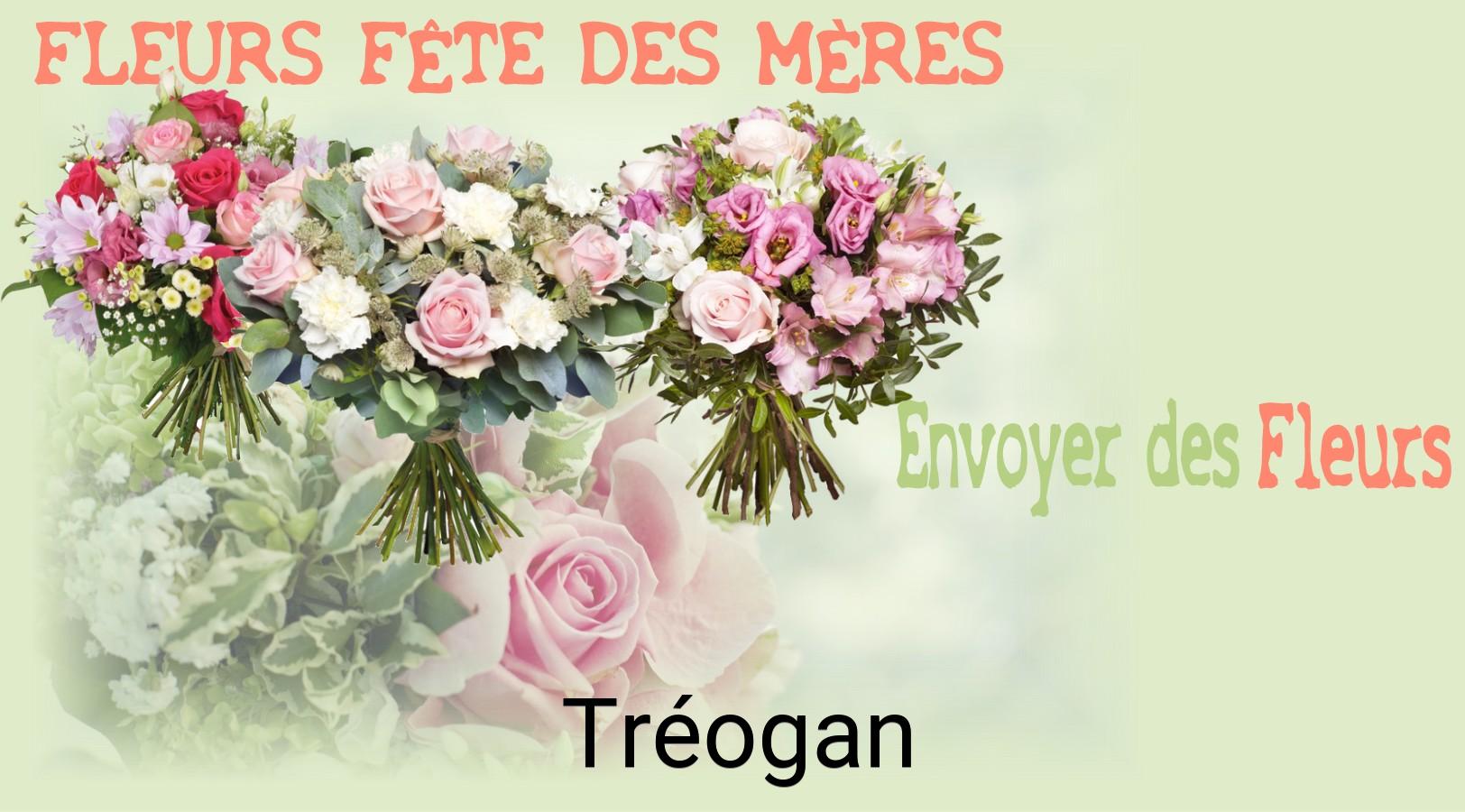 Bouquet de Fête des Mères livré à Tréogan